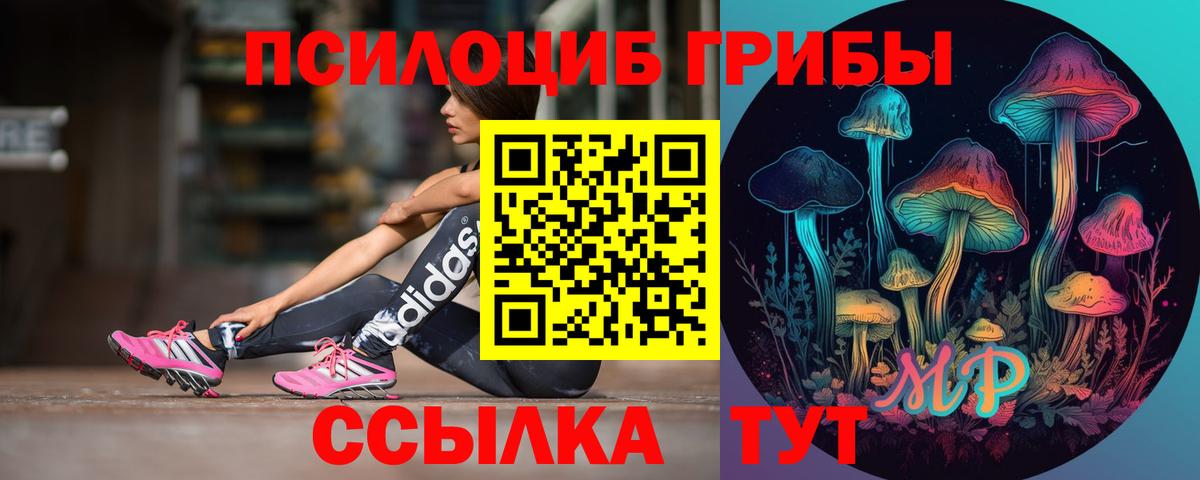 Псилоцибиновые грибы Psilocybe  Вход с VPN  Верхняя Пышма  Псилоцибиновые грибы Psilocybe 